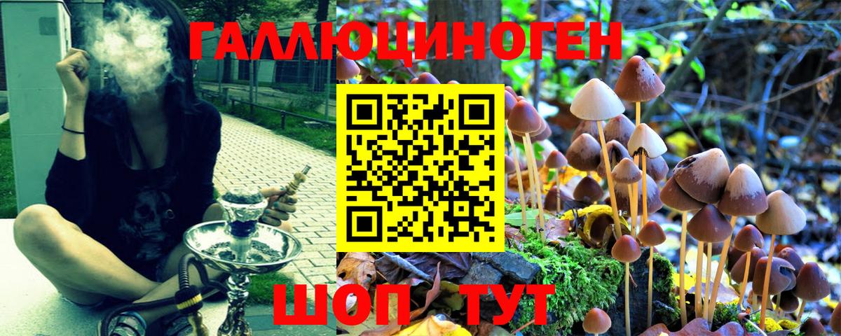 Галлюциногенные грибы Cubensis  как найти закладки  Псилоцибиновые грибы Psilocybe  Назарово  Вход с VPN 